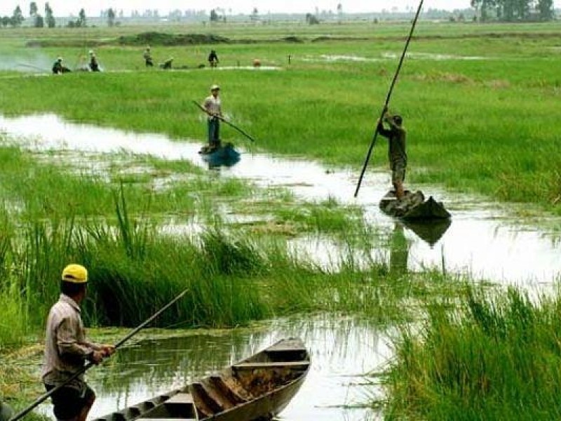The Golden Rice Harvest Season in Vietnam’s Highlands | Dalat Easyrider Experience