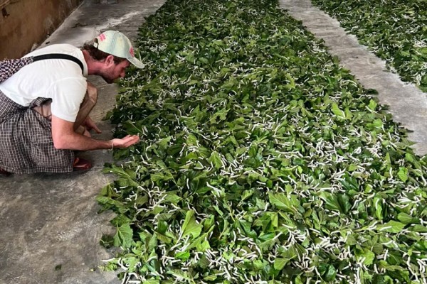 Discover the Traditional Silkworm Farming in Da Lat with Dalat Easyrider