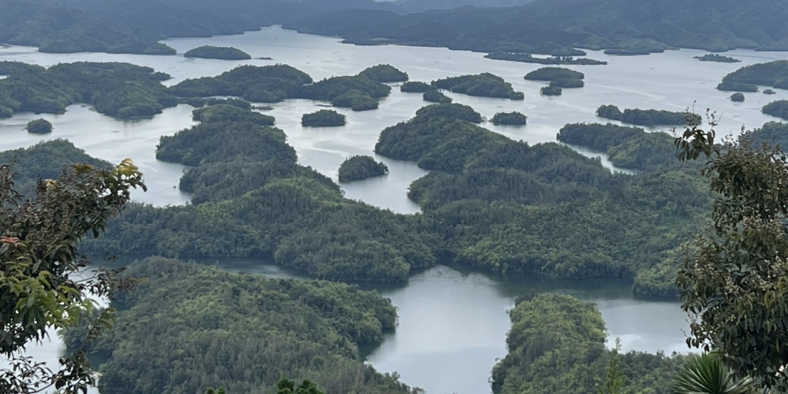 4-Day Central Highlands Adventure: Da Lat – Lak Lake – Dray Sap Waterfall – Ta Dung National Park with Dalat Easyrider”