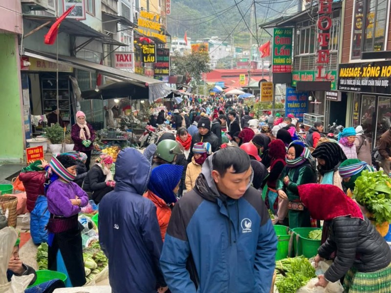 Riding Into Tết: An Unforgettable Vietnamese New Year Experience with Da Lat Easyriders”