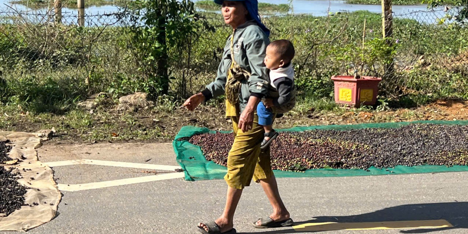 Daily Life in Rural Vietnam – A True Local Experience with Dalat Easyrider