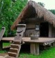Discover the Ede Ethnic Culture with Dalat Easyrider – Ride into Vietnam’s Indigenous Highlands”