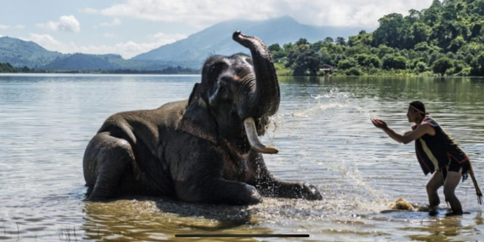 Elephant Adventures in Lak Lake & Buon Don – Explore the Wild Central Highlands with Dalat Easyrider”