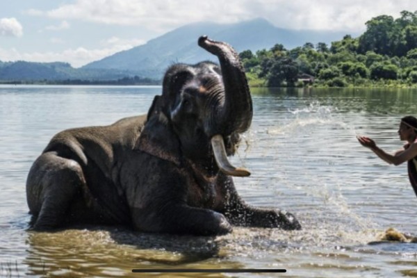 Elephant Adventures in Lak Lake & Buon Don – Explore the Wild Central Highlands with Dalat Easyrider”