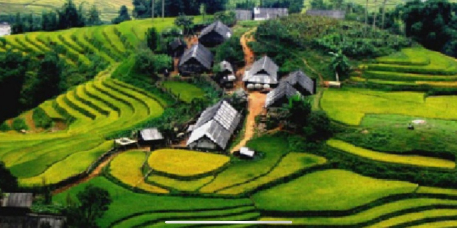 Explore the Hidden Countryside of Vietnam with Easyriders – An Authentic Motorbike Adventure